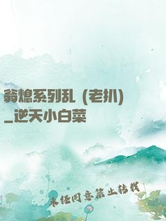 翁熄系列乱 (老扒)